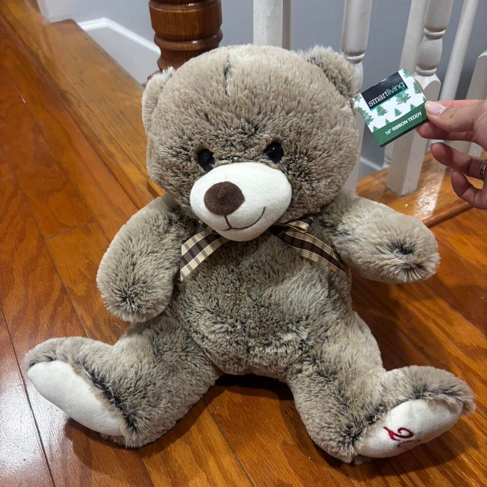 AMAZON Teddy Bear Grey and Brown Stuffed Animals Graduation Birthday Memoir